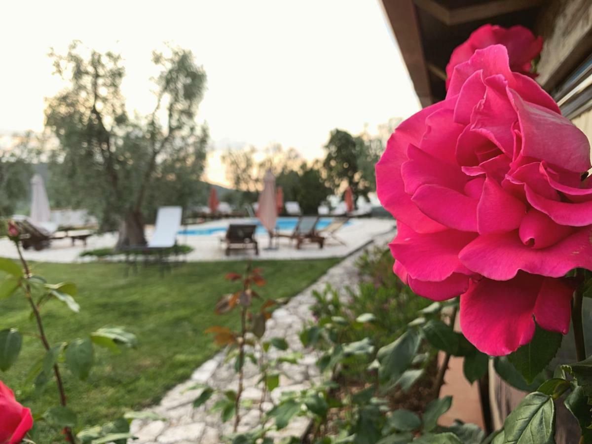 Parco Dei Limoni ξενώνας Peschici Εξωτερικό φωτογραφία